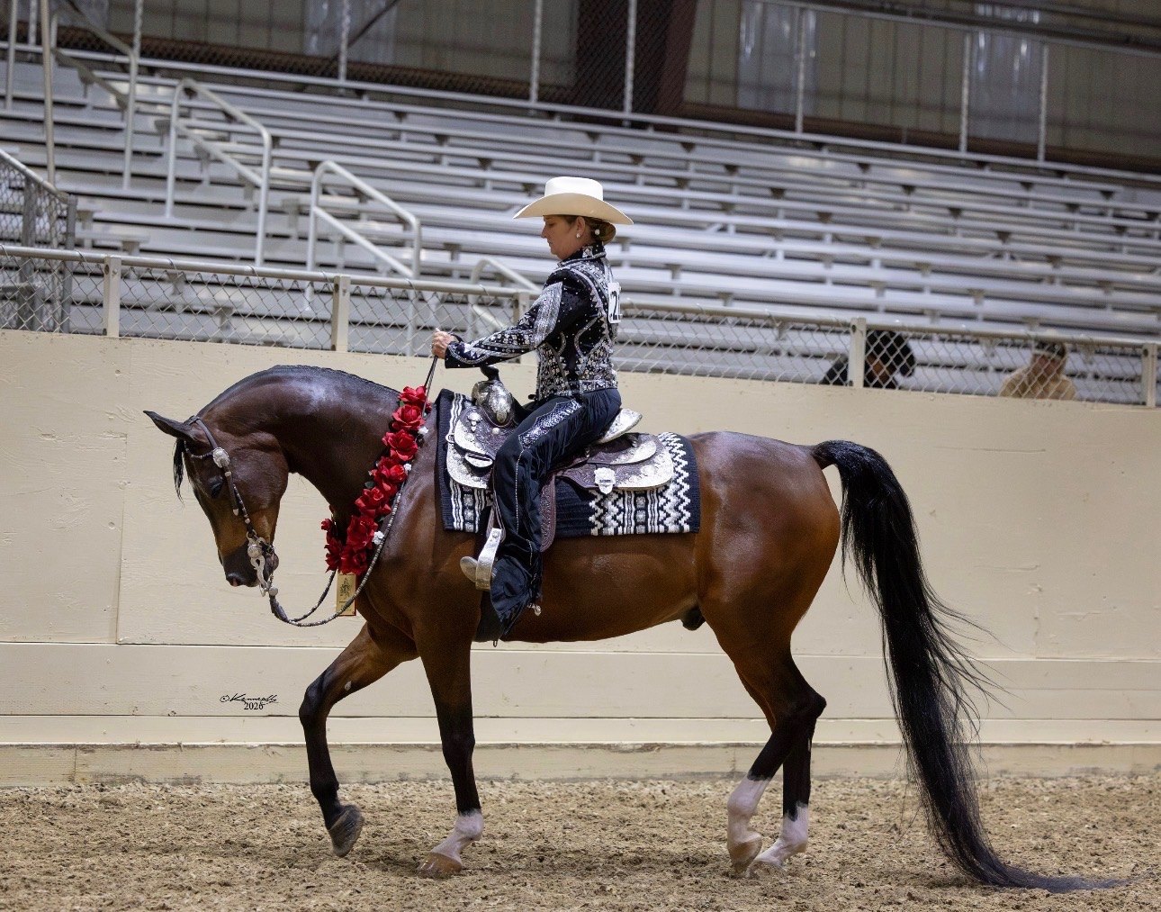 Barbara Wilson competing with a show horse